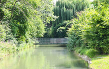 Die Kraft des Wassers